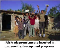 developing community