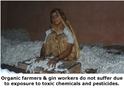 gin worker