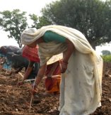 Hand Sowing: An Eco-Friendly Farming Practice