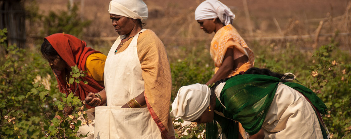 Farmers hand-harvesting without harmful chemical defoliants.