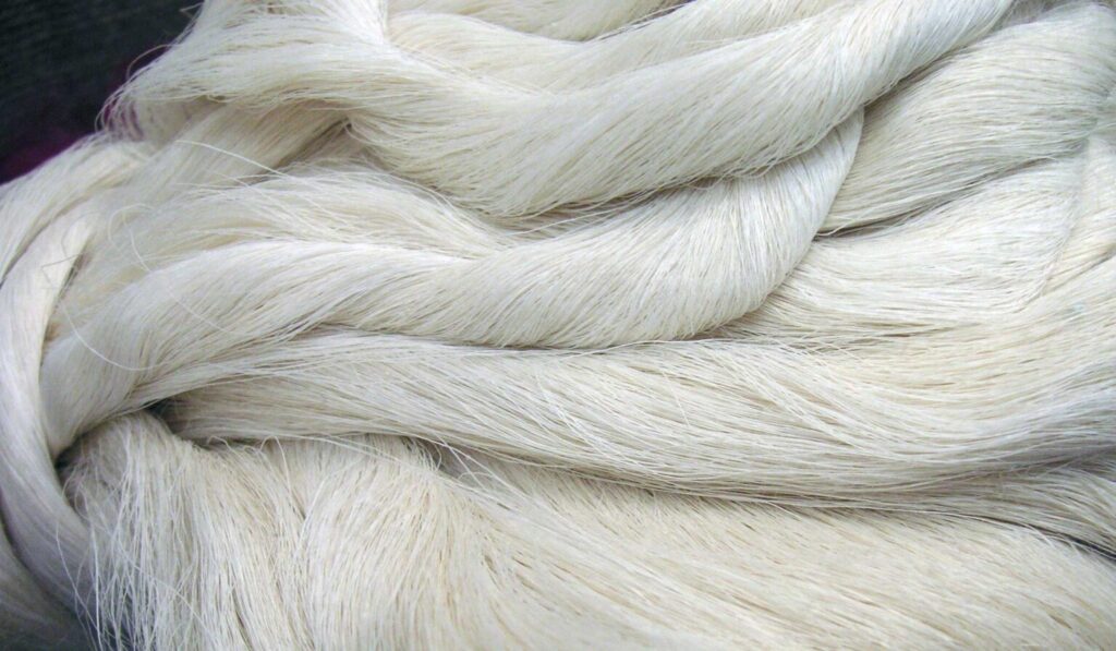 Image of Ring Spun Organic Cotton Yarn